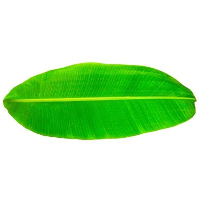 Banana Leaf Meal (சாப்பாடு இலை)