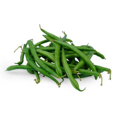 Beans Haricot (பீன்ஸ்)