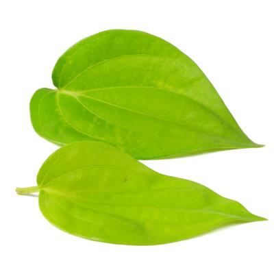Beetle leaf (வெற்றிலை)