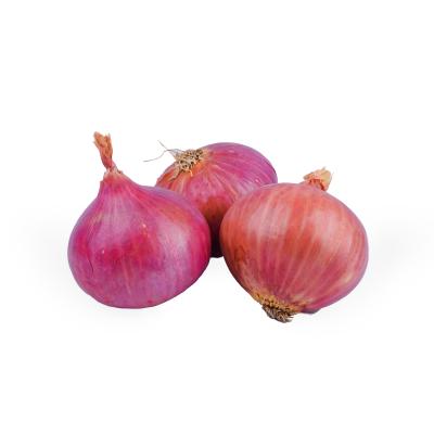 Big Onion (பெரிய வெங்காயம்)