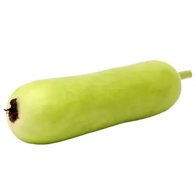 Bottle Gourd (சுரைக்காய்)-(500g-600g)