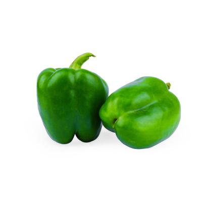 Capsicum (குடைமிளகாய்)