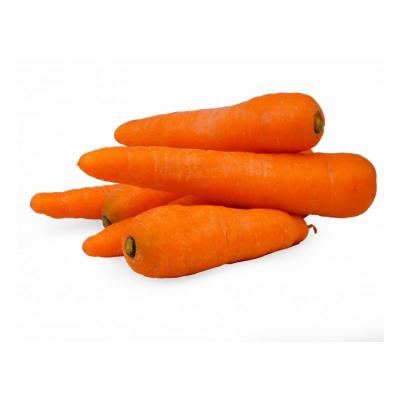 Carrot (கேரட்)