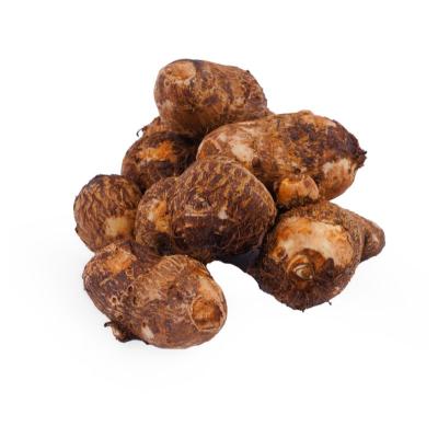 Colocasia (சேப்பங்கிழங்கு)