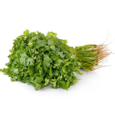 Coriander Leaves (கொத்தமல்லி)
