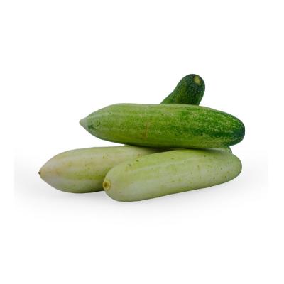 Cucumber (வெள்ளரிக்காய்)