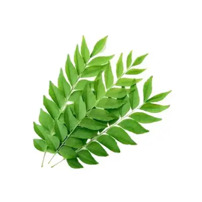 Curry Leaves (கறிவேப்பிலை)- Small Bunch