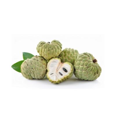 Custard Apple (சீத்தாப்பழம்)