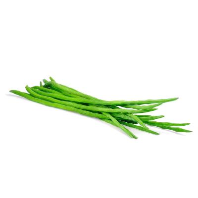 Drumstick (முருங்கைக்காய்)