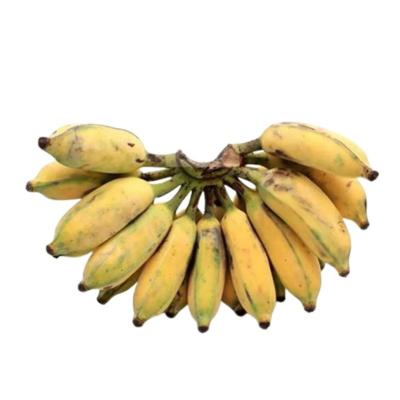 Karpooravalli Banana(கற்பூரவள்ளி)