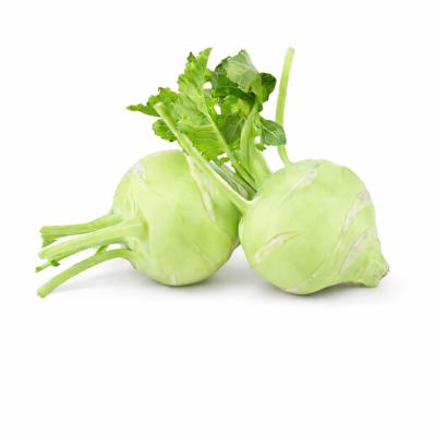 Knol Khol (நூல்கோல்)
