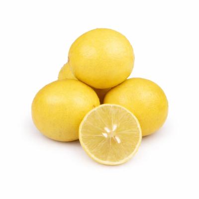 Lemon (எலுமிச்சை)