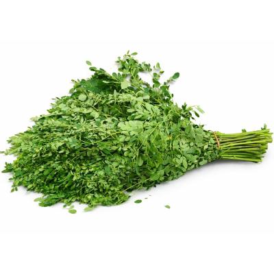 Drumstick Leaves (முருங்கைக்கீரை)