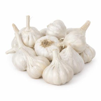 Garlic Country (நாட்டுப் பூண்டு)