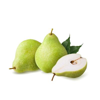 Pear (பேரிக்காய்)