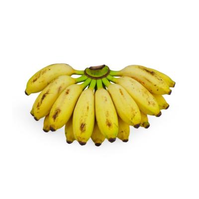 Poovan Banana (பூவன் பழம்)