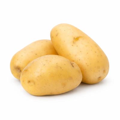Potato (உருளைக்கிழங்கு)