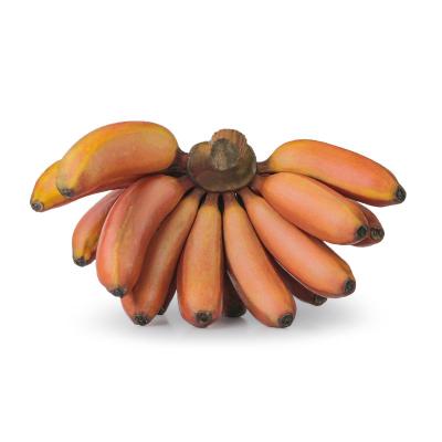 Banana Red (செவ்வாழை)
