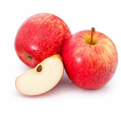 Apple Royal Gala (ராயல் காலா)