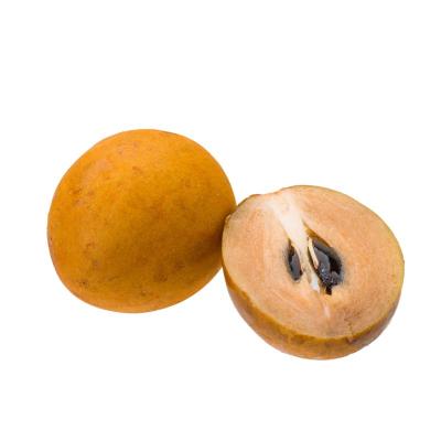 Sapota (சப்போட்டா)