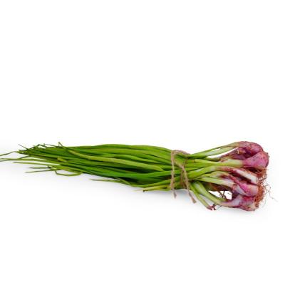 Spring onion (வெங்காயத்தாள்)-Small Bunch