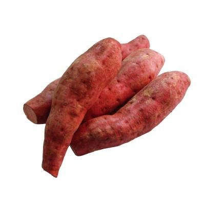 Sweet Potato (சர்க்கரைவள்ளி கிழங்கு)