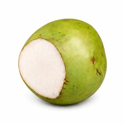 Tender Coconut (இளநீர்)