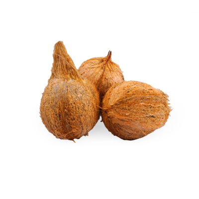 Coconut(தேங்காய்)