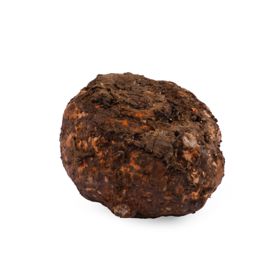 Elephant Foot Yam (சேனைக்கிழங்கு)