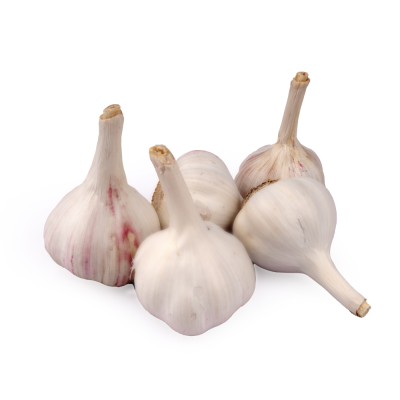 Garlic ( பூண்டு)