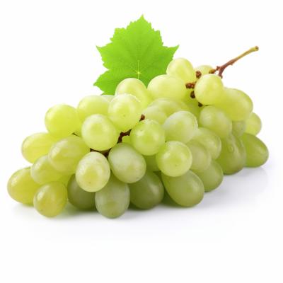 Grapes Green (திராட்சை-பச்சை)