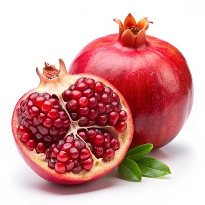Pomegranate (மாதுளை)