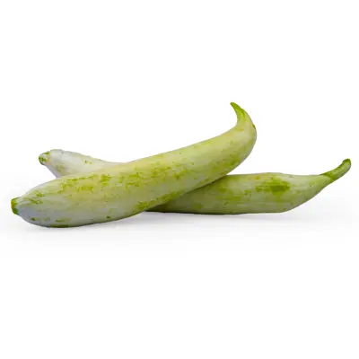 Snake Gourd (புடலங்காய்)