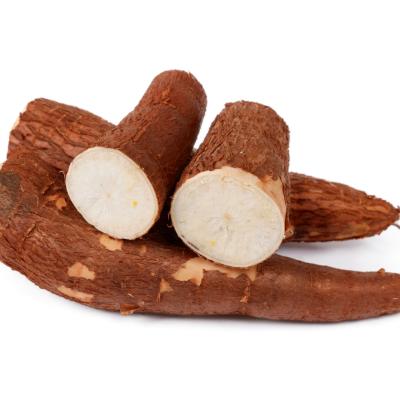 Tapioca (மரவள்ளிக்கிழங்கு)